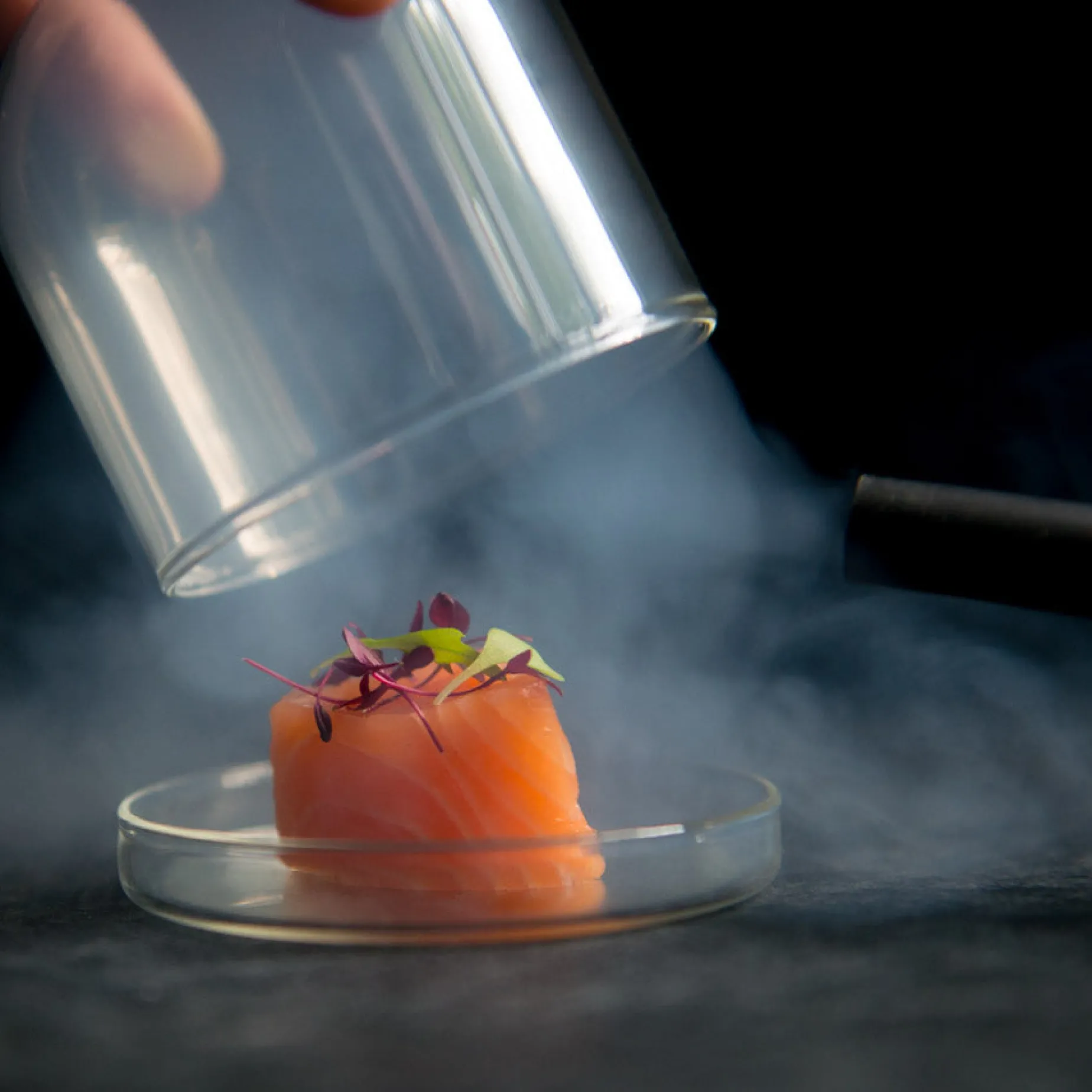 2 x Large Domed Glass Cloche, 11cm dia