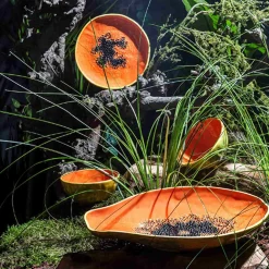 Bordallo Pinheiro Tropical Fruits Papaya Serving Platter, 35x23cm