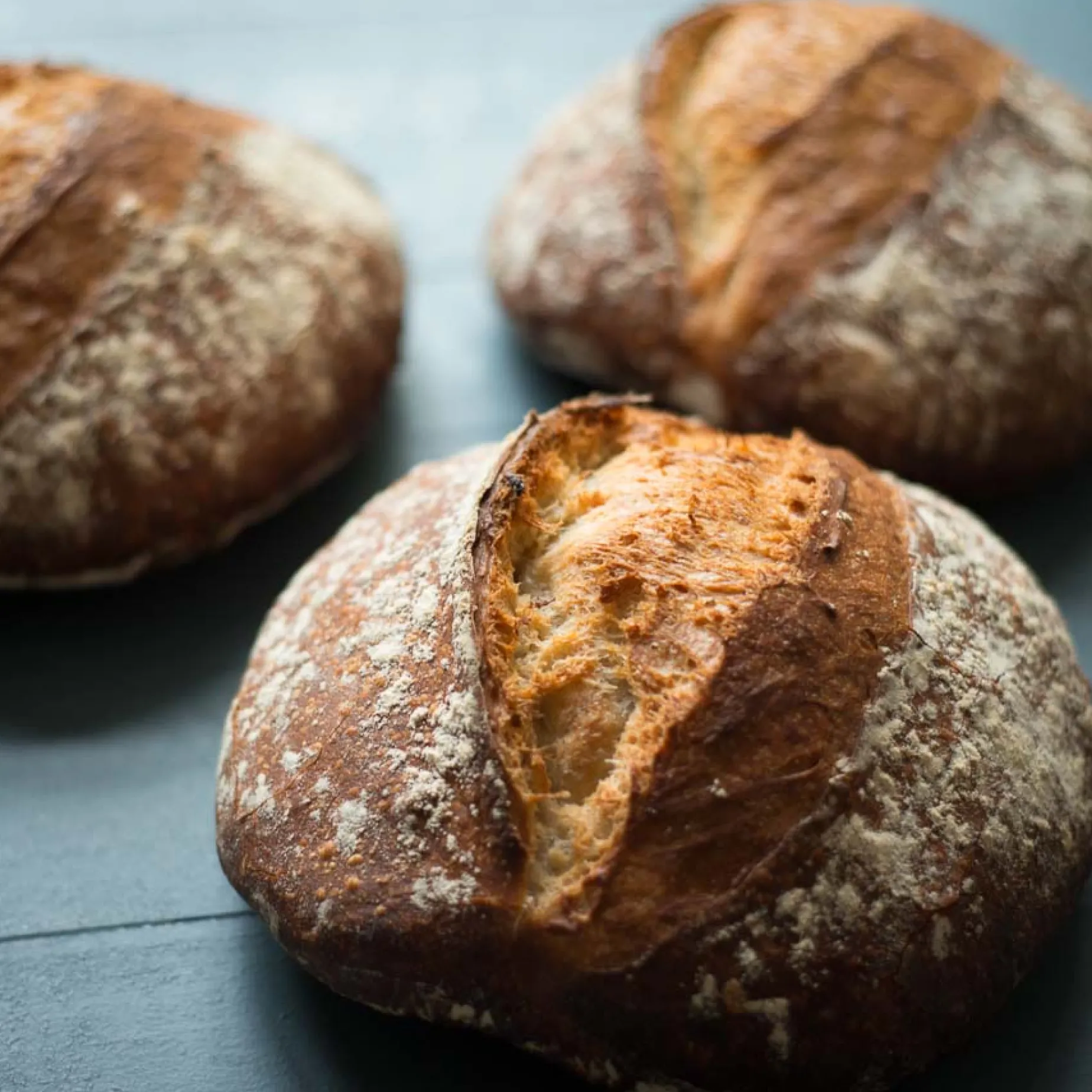 Bordelaise Lame - Bread Scoring Blade