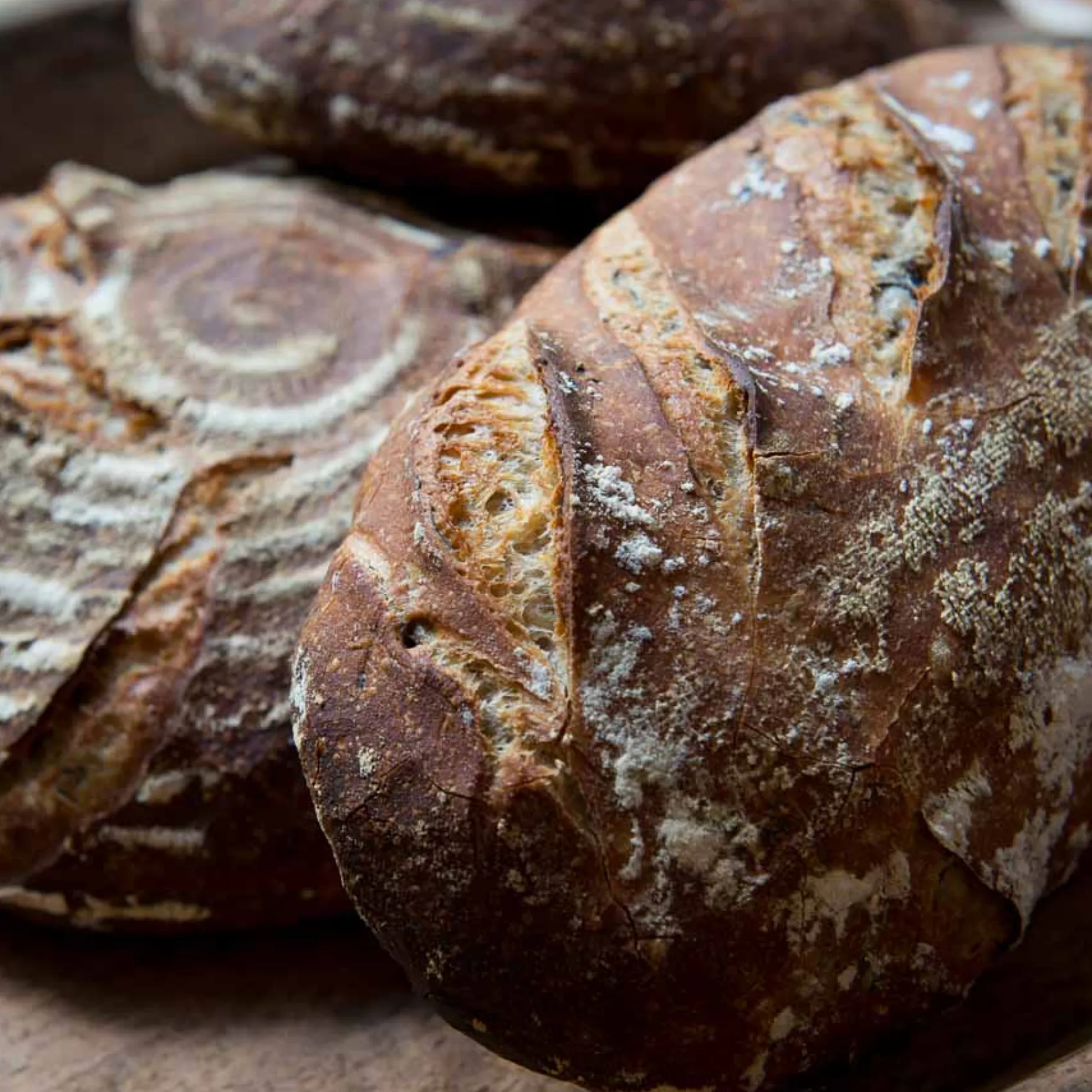 Bordelaise Lame - Bread Scoring Blade