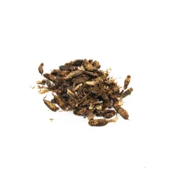 Edible Crickets, 20g