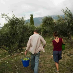 Honest Toil Extra Virgin Greek Olive Oil, 500ml