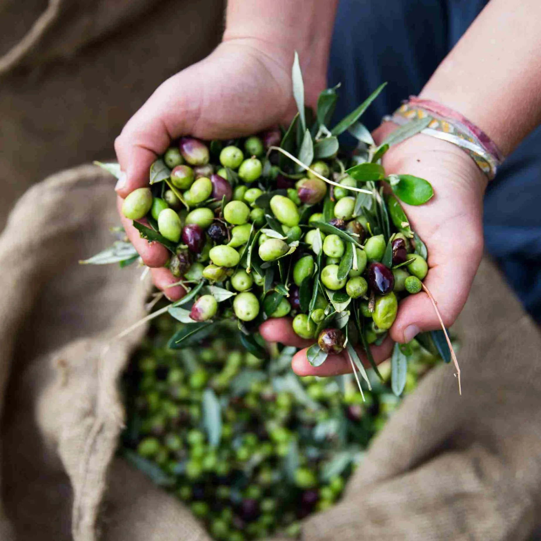 Honest Toil Extra Virgin Greek Olive Oil, 500ml