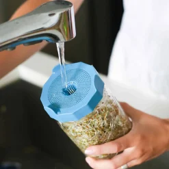 Masontops Wide Mouth Bean Screens Sprouting Lids, Set of 2