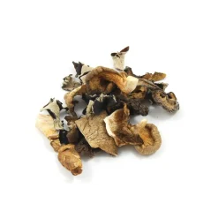 Mixed Wild Mushrooms, 500g