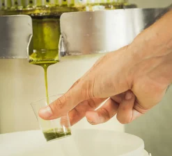 Pariani Roasted Bronte Pistachio Oil, 100ml