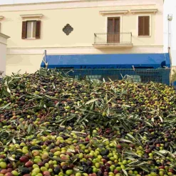 Puglian Extra Virgin Olive Oil in Blue Splatter Ceramic Bottle, 500ml