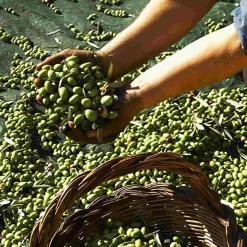 Puglian Extra Virgin Olive Oil in Yellow Splatter Ceramic Bottle, 500ml