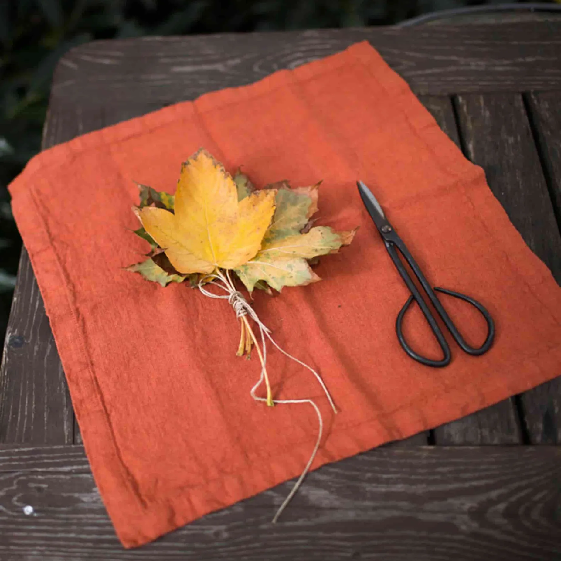 Set of 2 Rust Linen Napkins