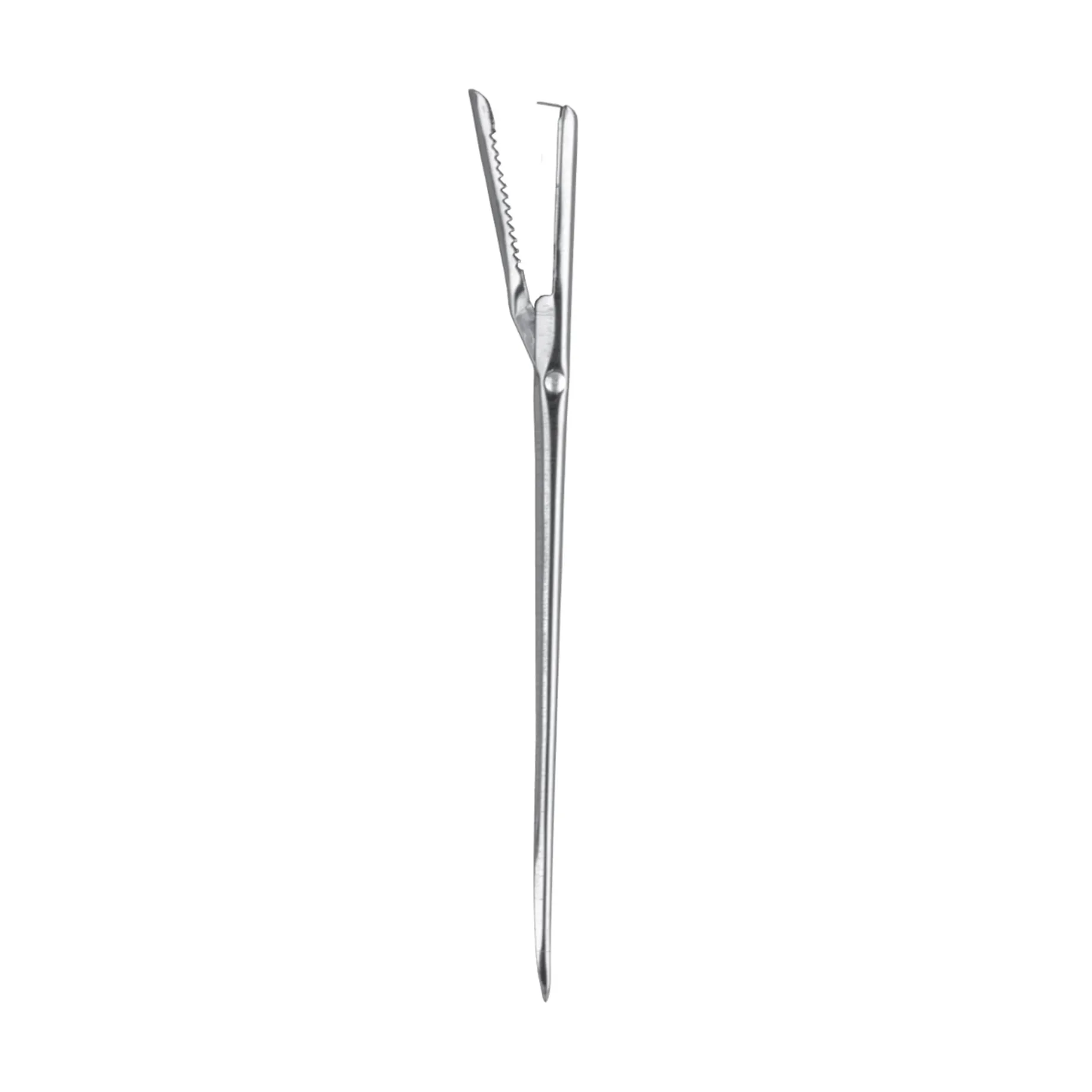 Triangle Stainless Steel Trussing Needle with Clip