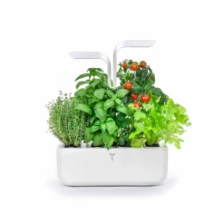 Veritable Classic Indoor Herb Garden