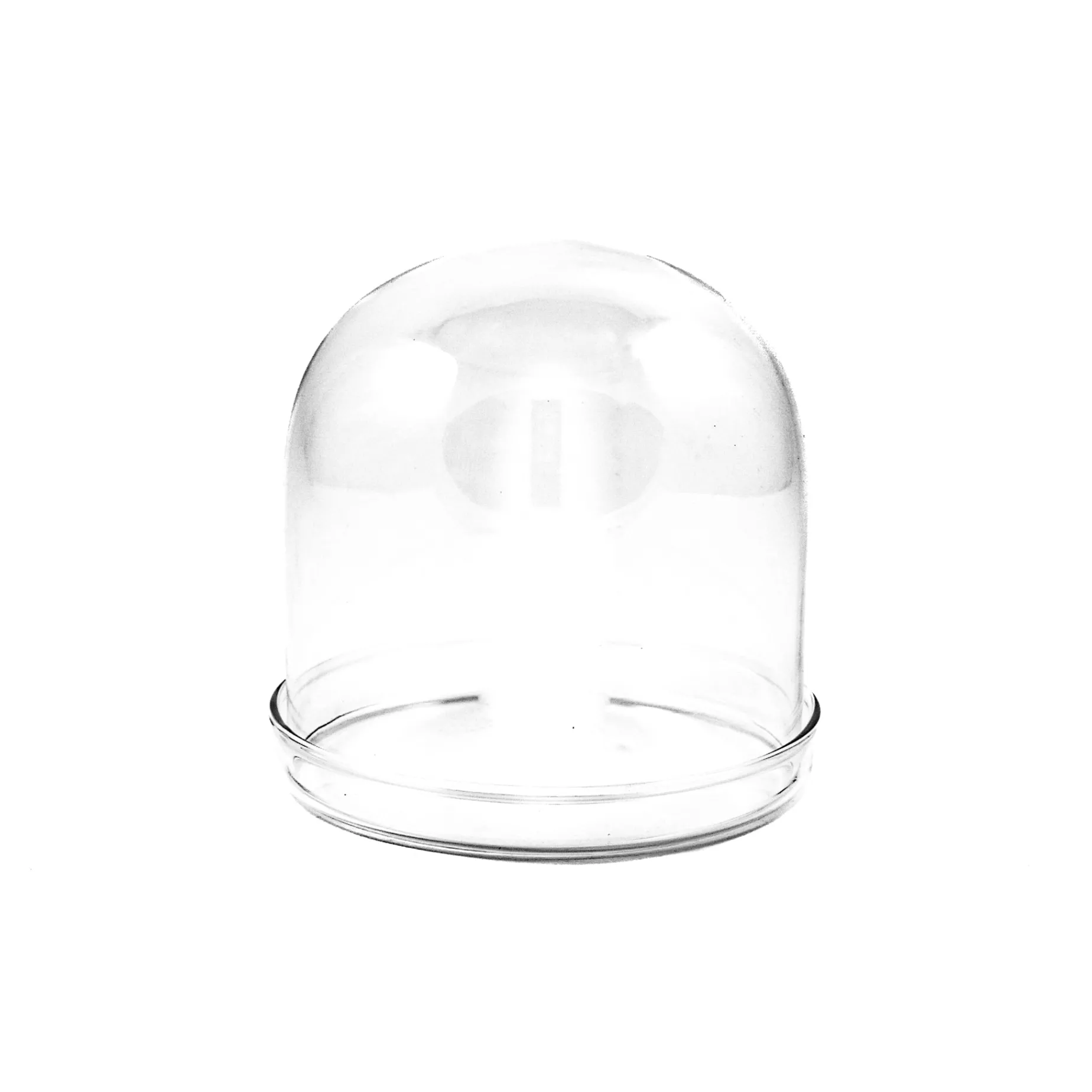 4x Small Domed Glass Cloche, 8cm dia